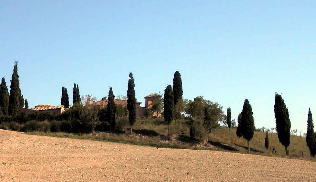 Castello Di Leonina Relais - Adults Only Hotel Siena Eksteriør billede